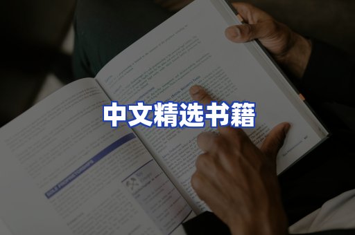 中文精选书籍